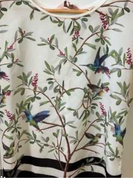 Ted Baker Tops - Ted Baker Cream Floral & Hummingbird Print Top size 3